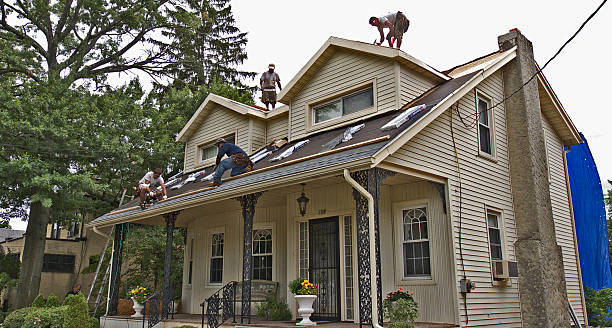Professional Roofing Contractor in Basile, LA