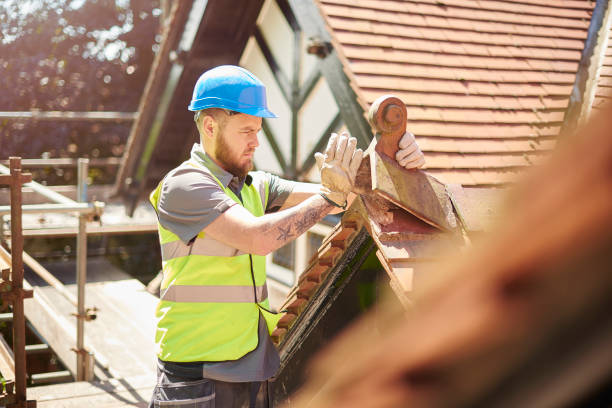 Best Metal Roofing Contractor  in Basile, LA